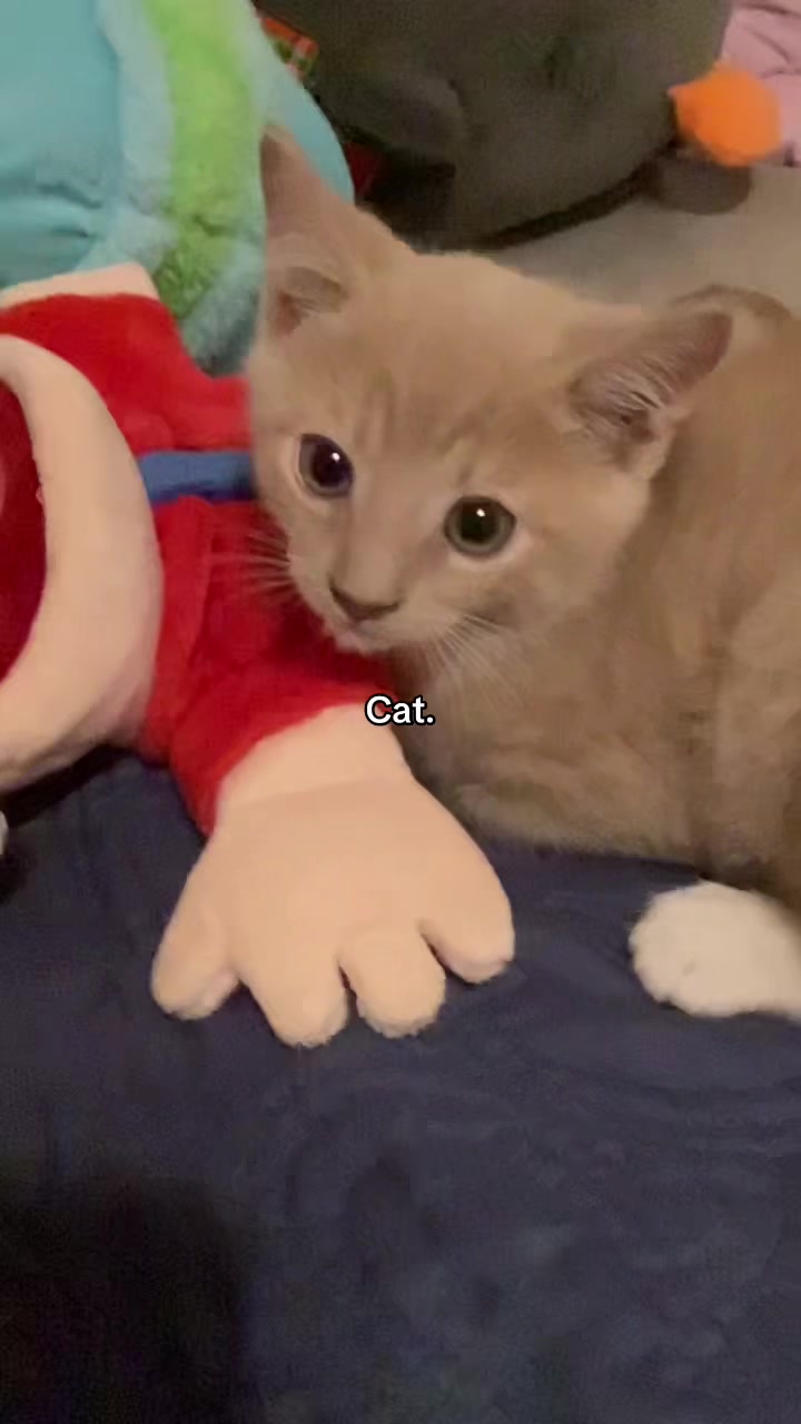 @Luigi
