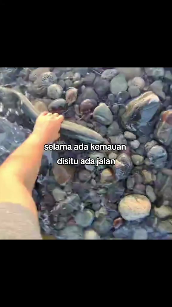 @iliyaas😹