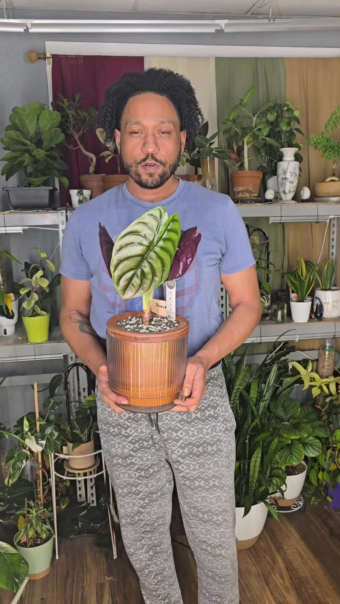 @JT - BigEGOPlants