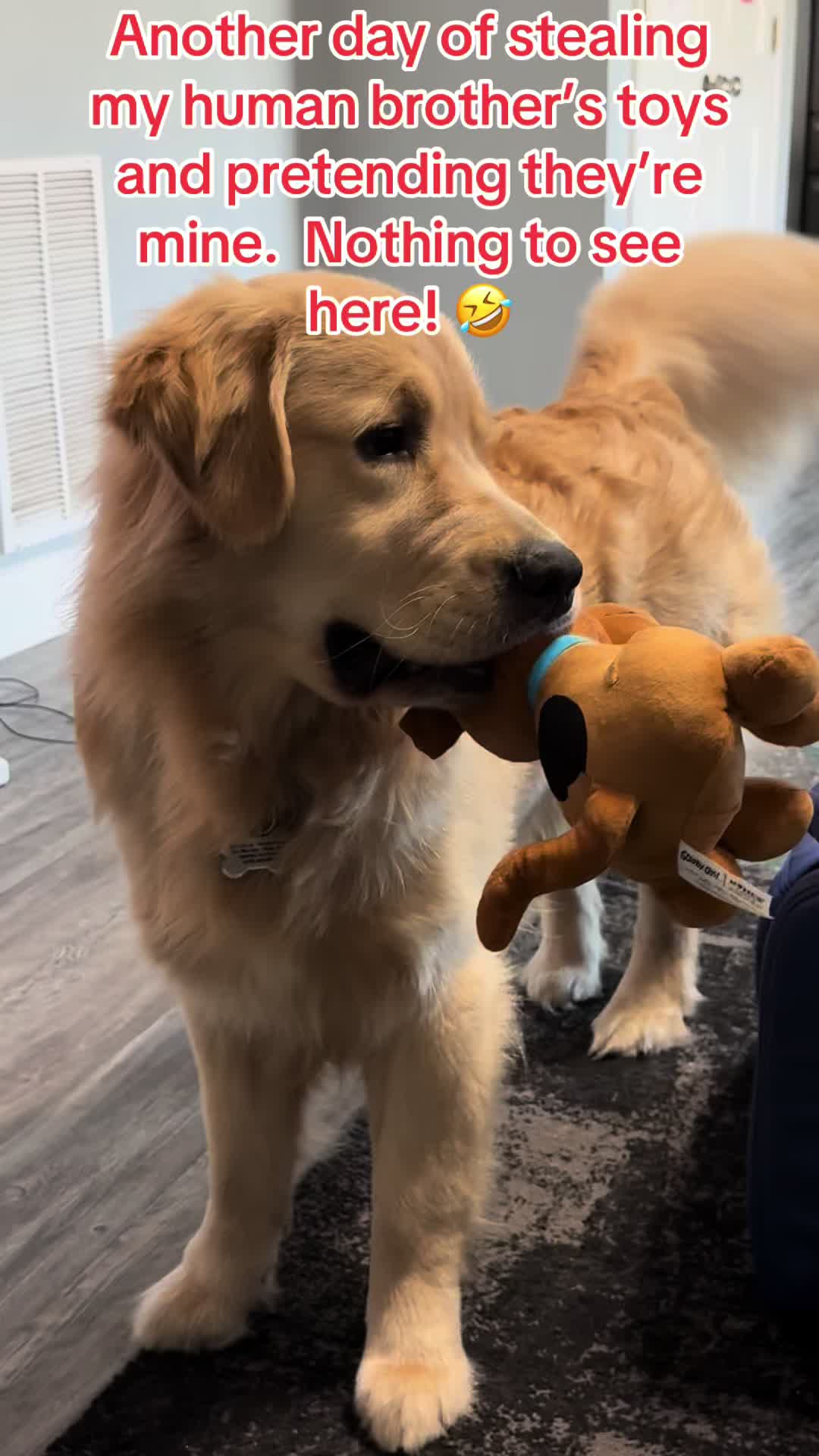 @Tucker_tha_Golden