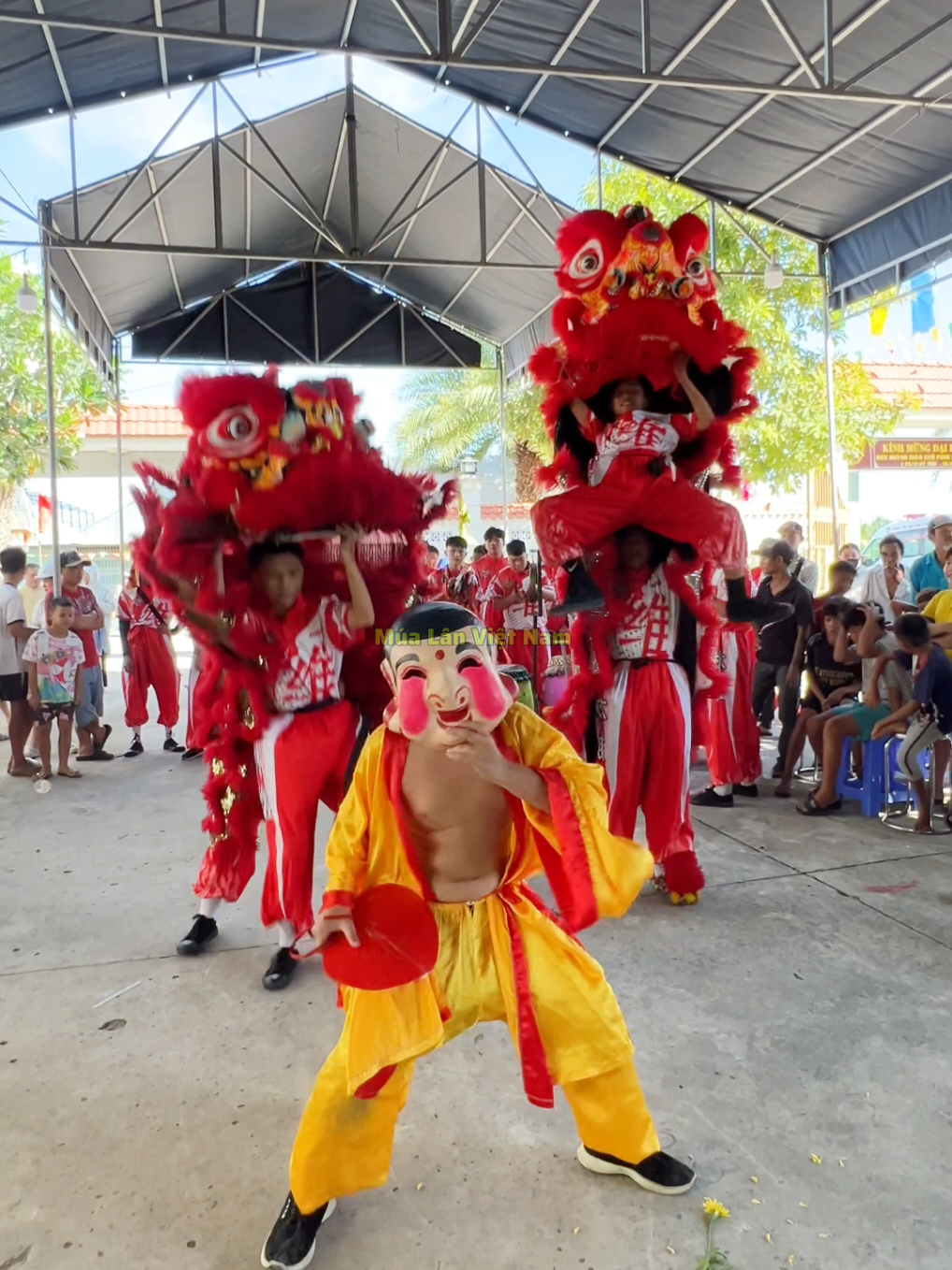 @Múa Lân Việt Nam 🇻🇳