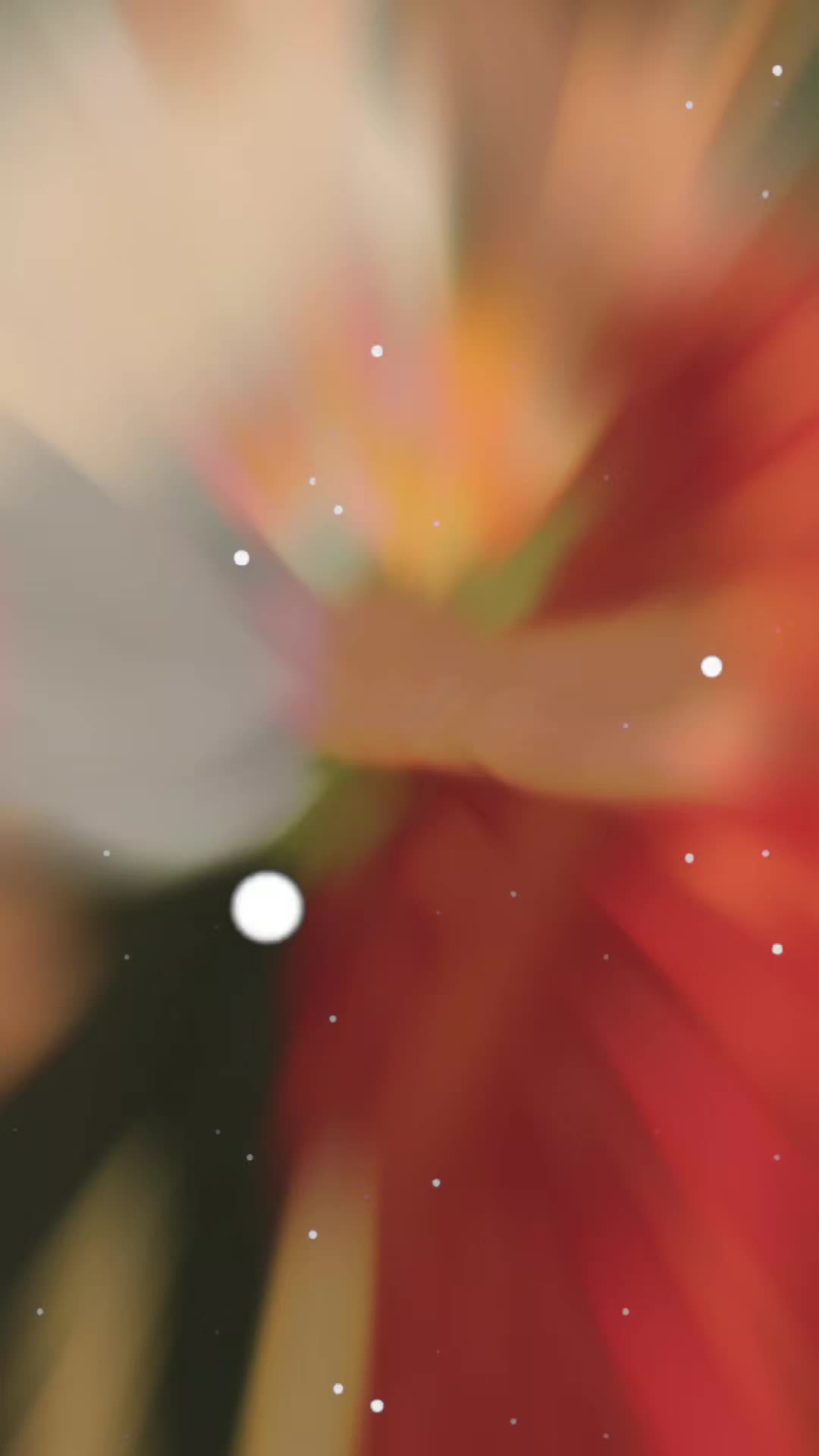 @♥᭄Ajay࿐