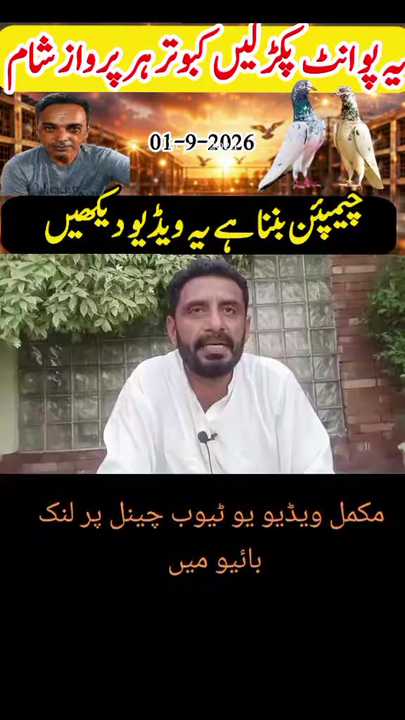 @KABOOTAR PARWAR VLOG