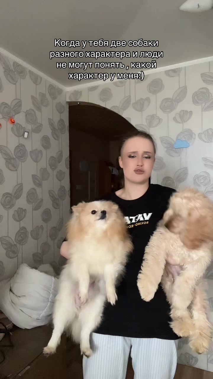 @si.yevaa