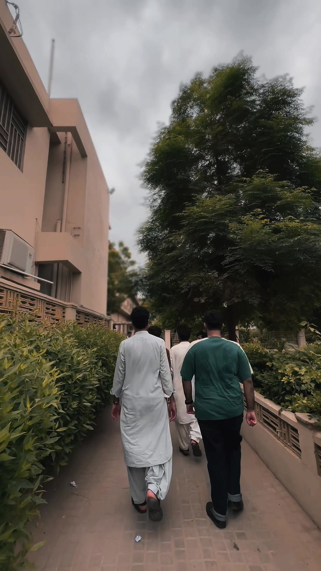 @Aswad asad Kalmati 🥀
