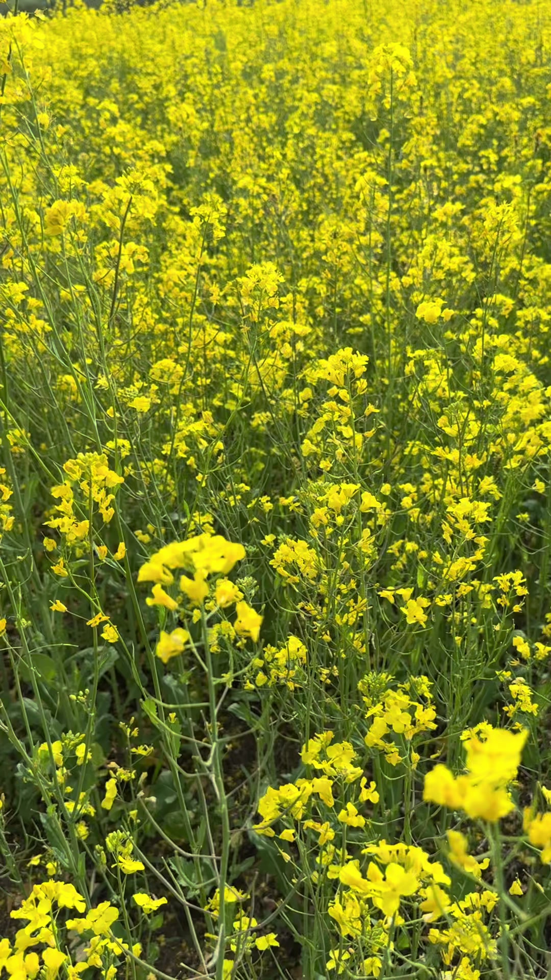 @행복인나