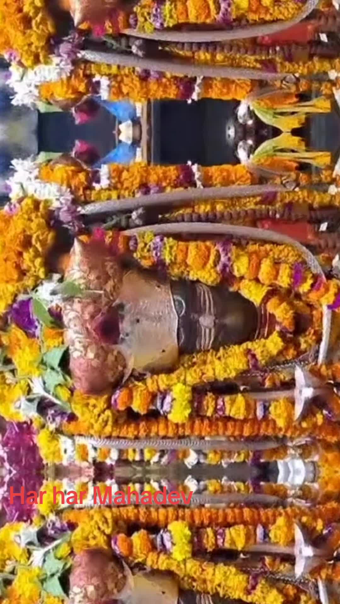 @Manoj Raj shree