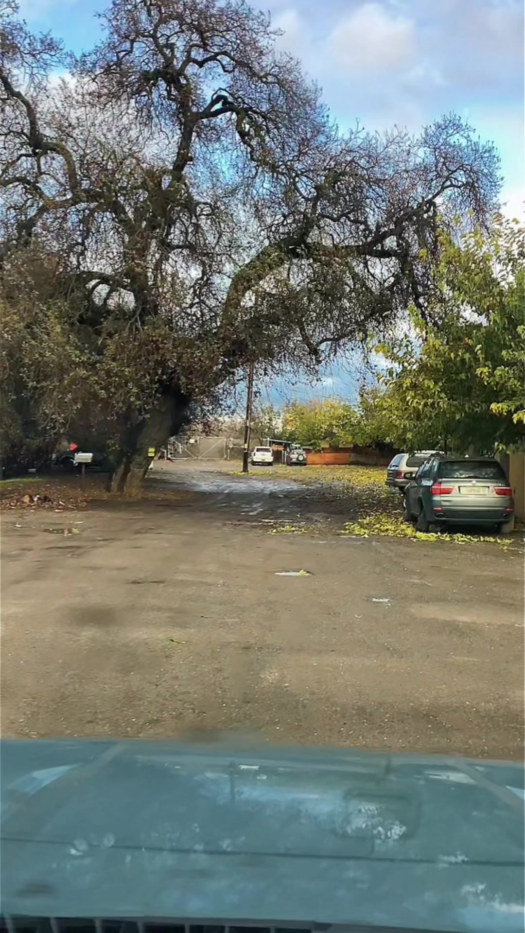 @TIKTOK‘s #1 ᗪᗩᗪ
