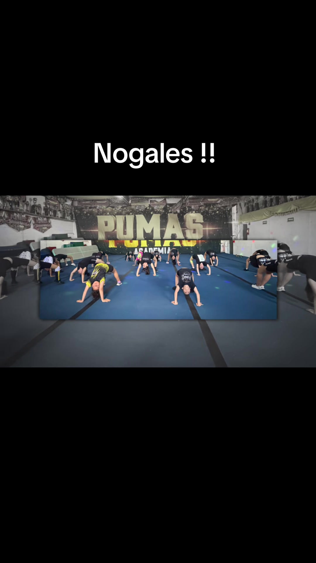 @ACADEMIA PUMAS