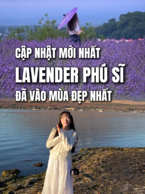 @Đi Nhật C&ugrave;ng Nh&acirc;m