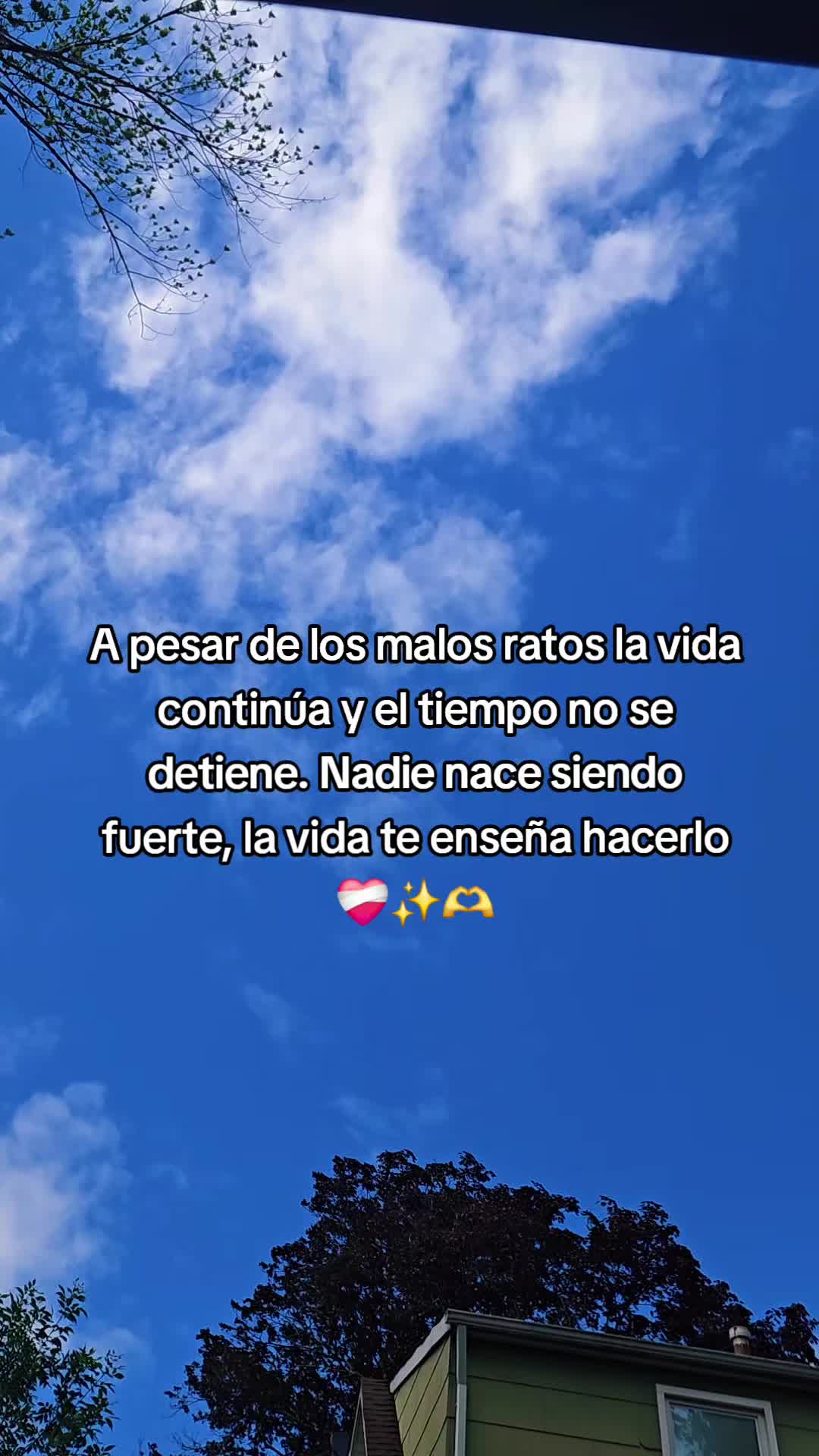 @🌸 𝐾aLixTaa🌻