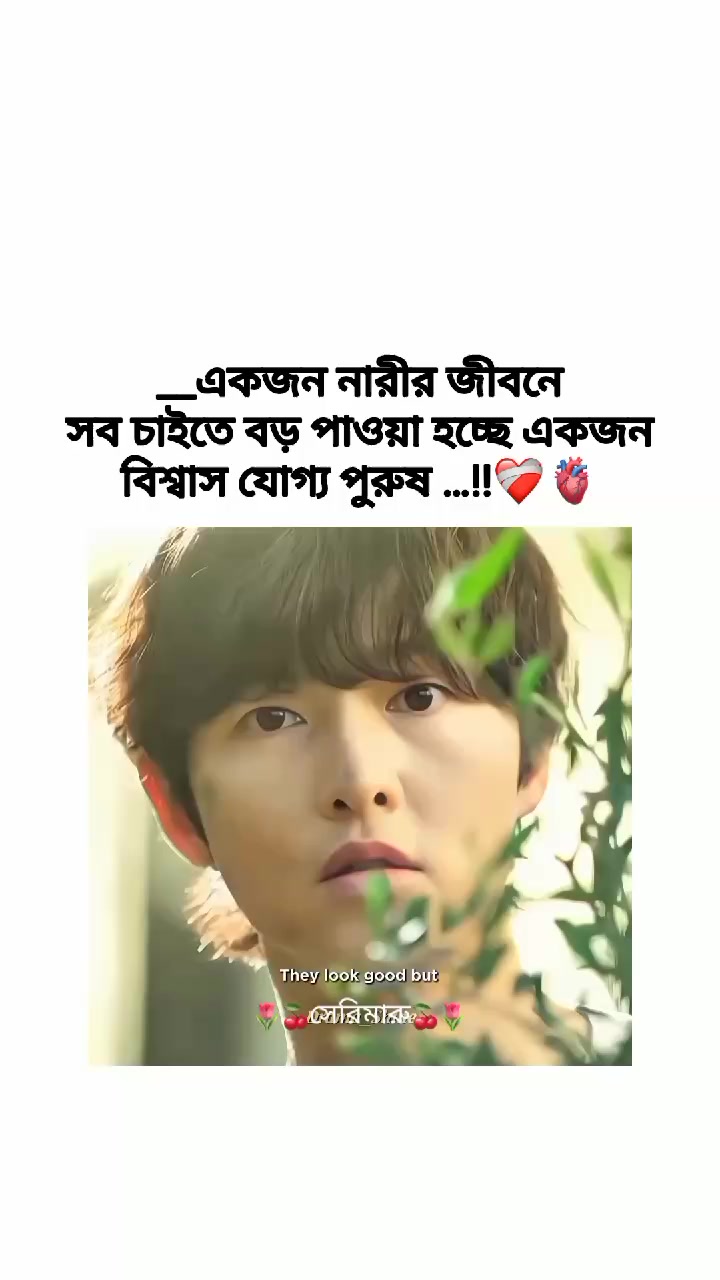 @🌷🍒সেরিমারু🍒🌷