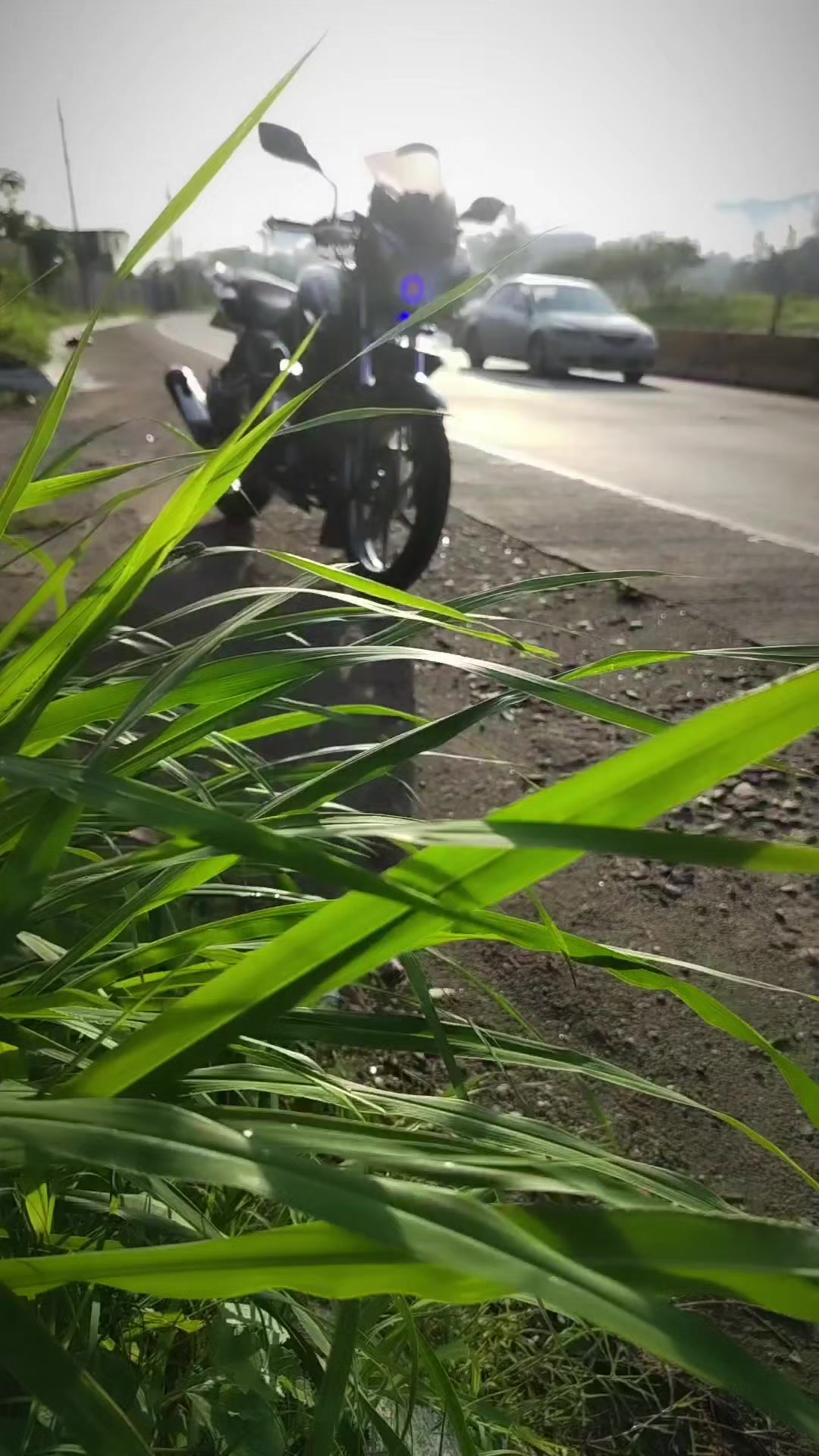 @Angel Peña