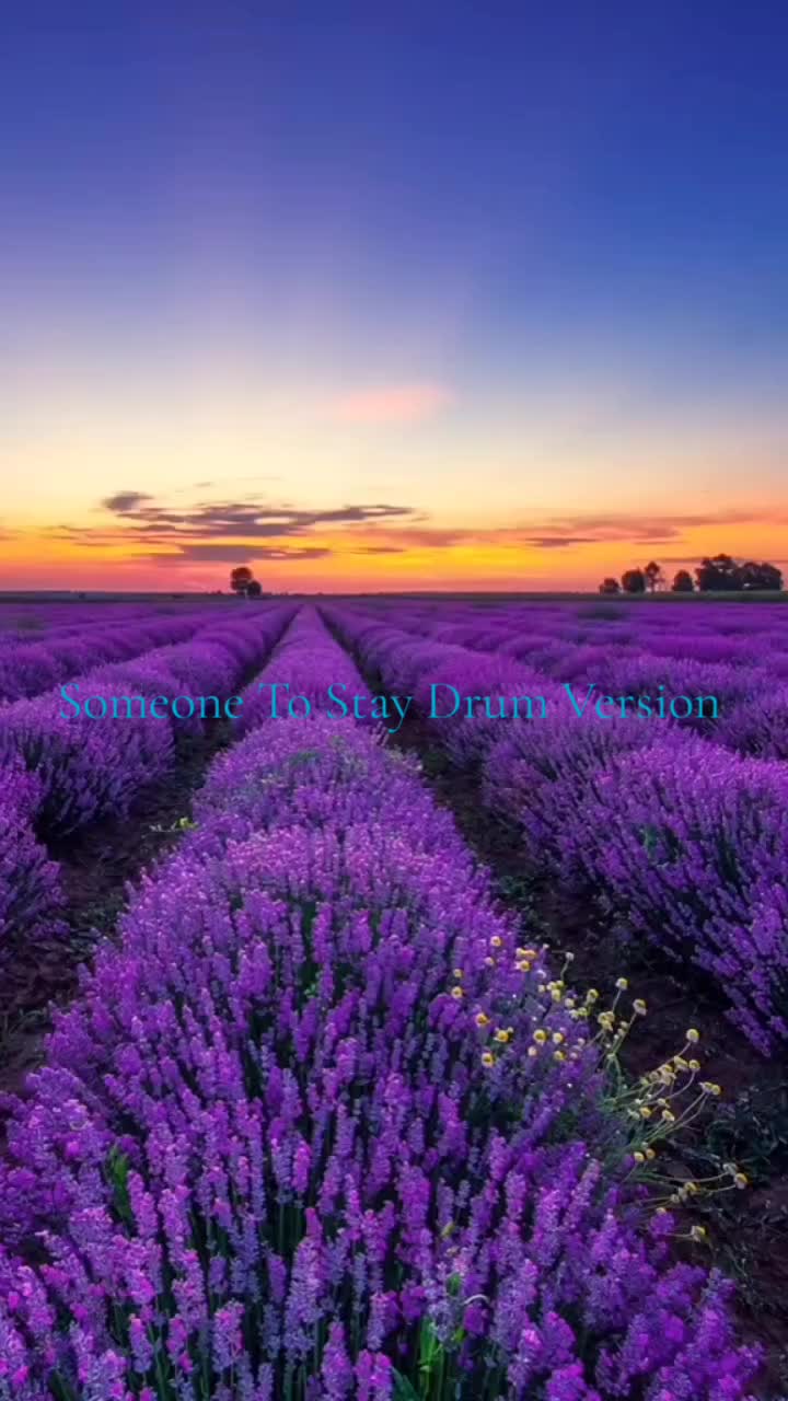 @Mr TikTok