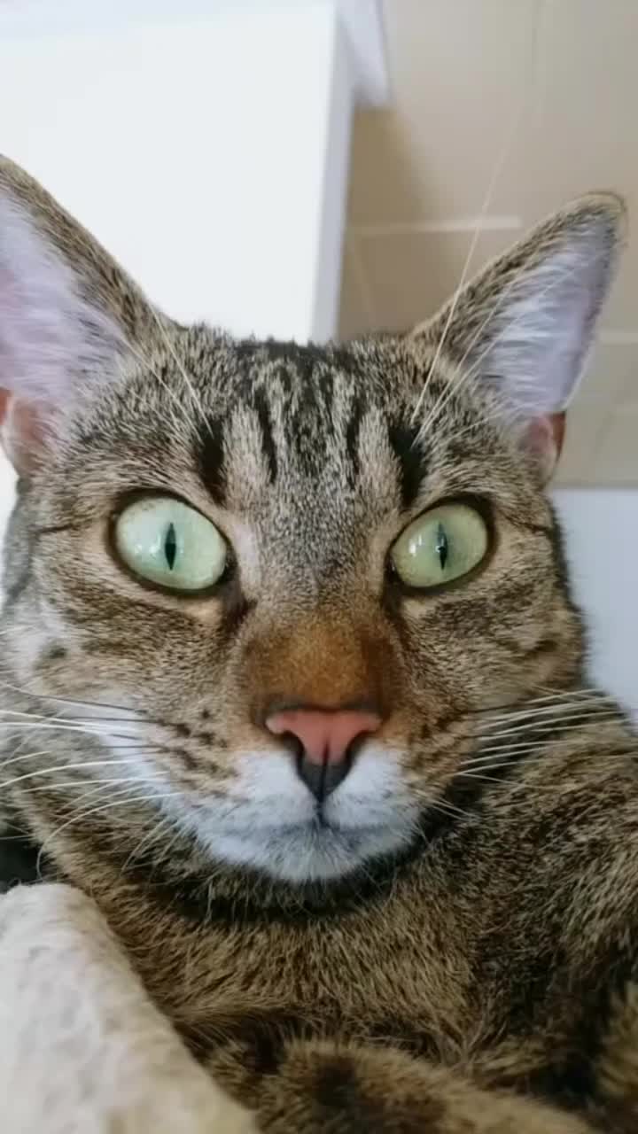 @😸 Alex 😸