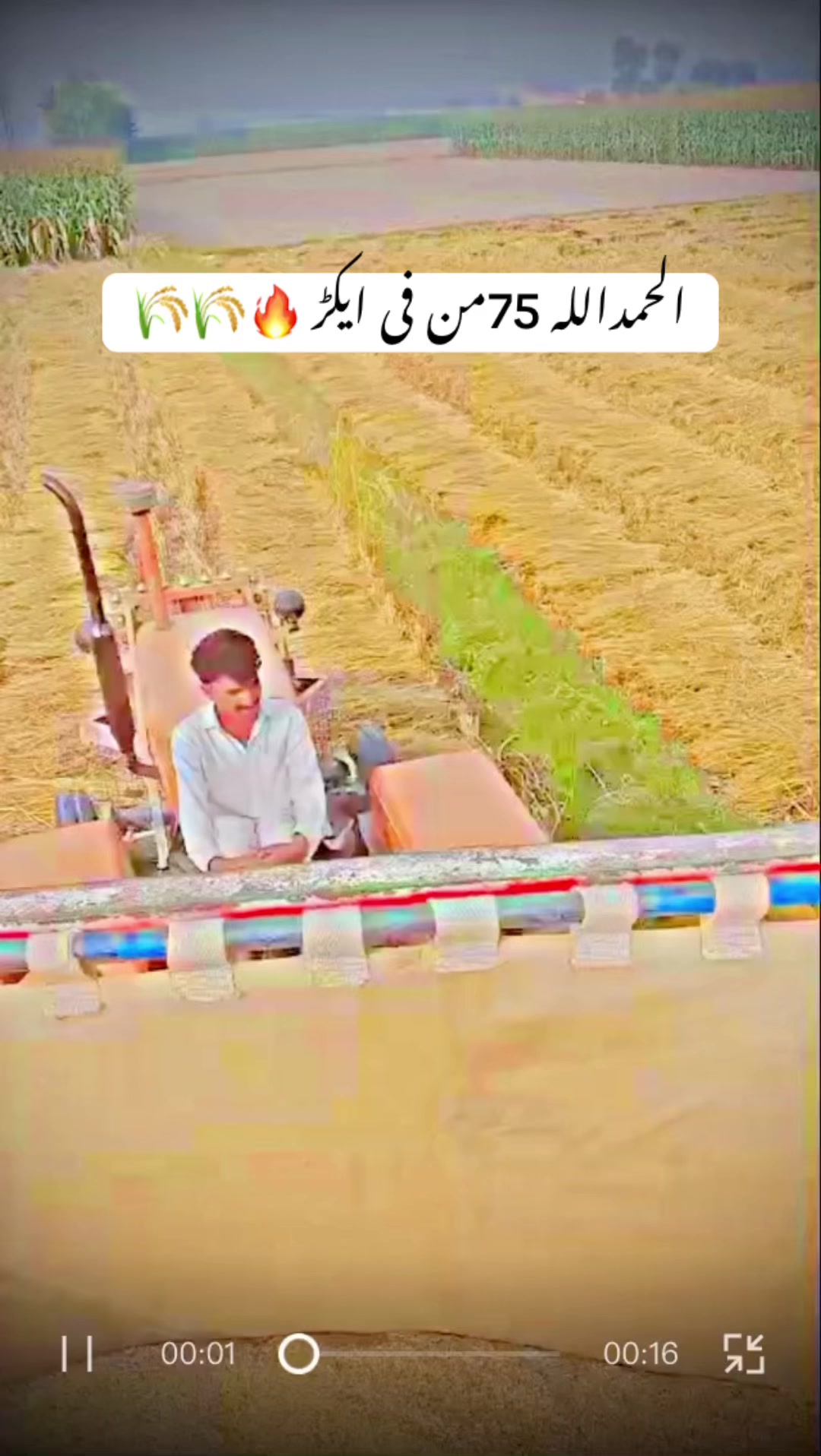 @ساجی موہل