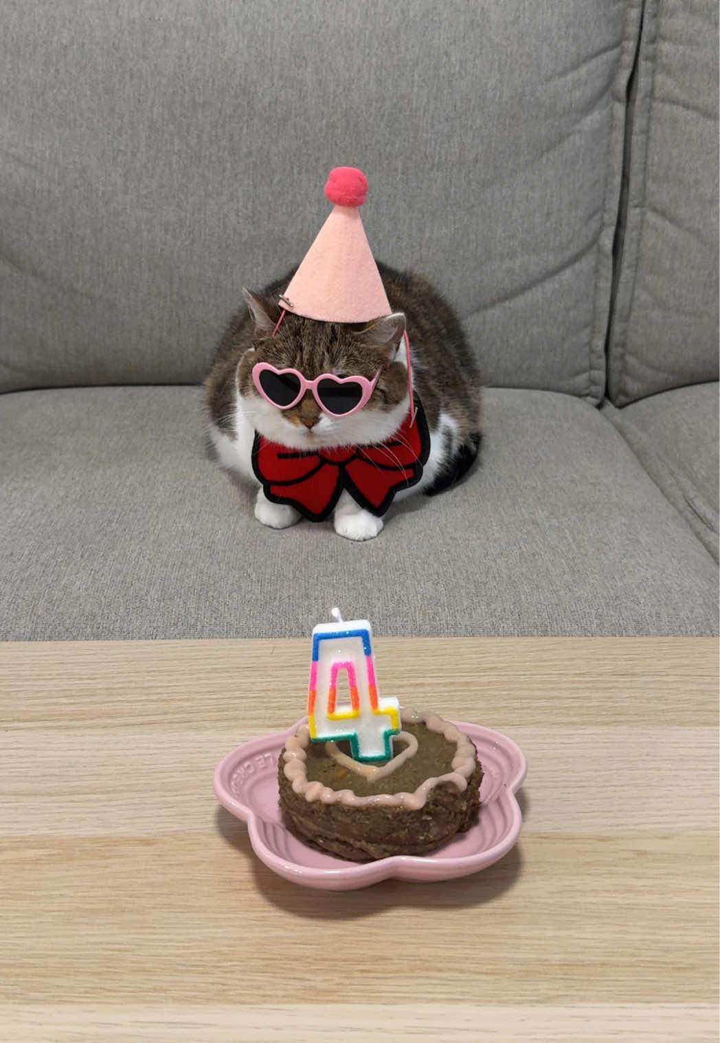 @Suki Purrs