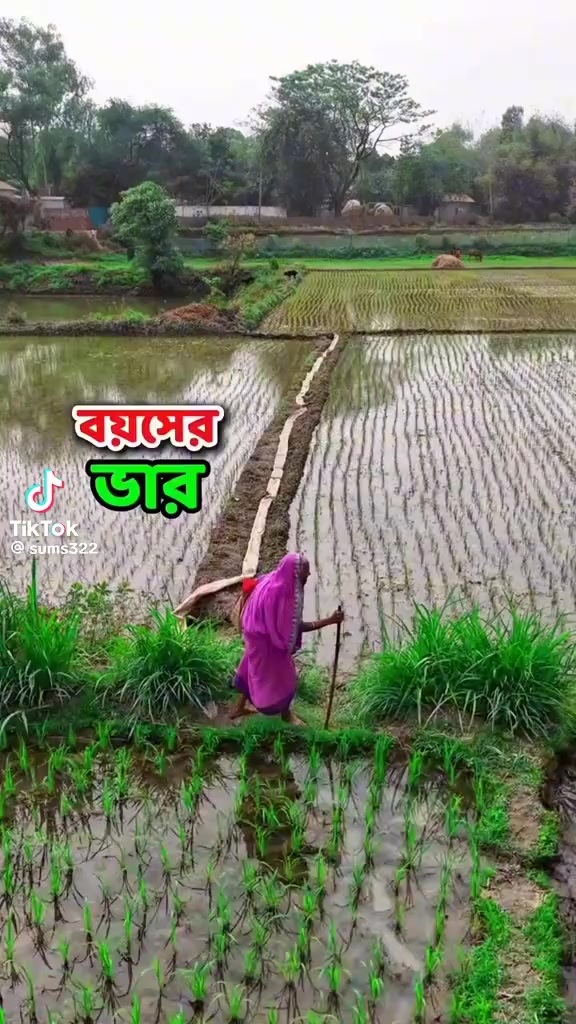 @নিঝুম তারা