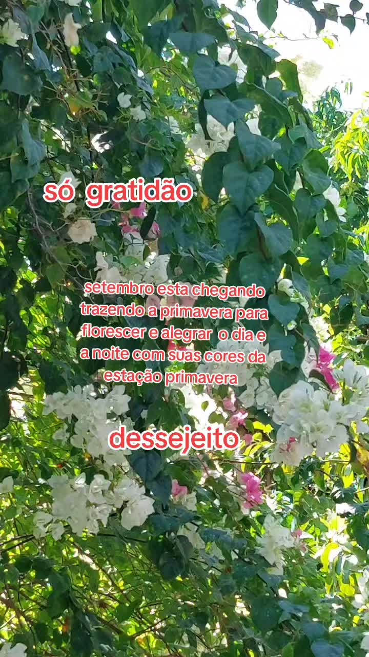 @Maria Jos&eacute; Batista d