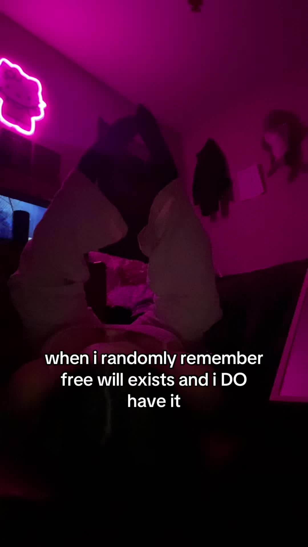 @fifi