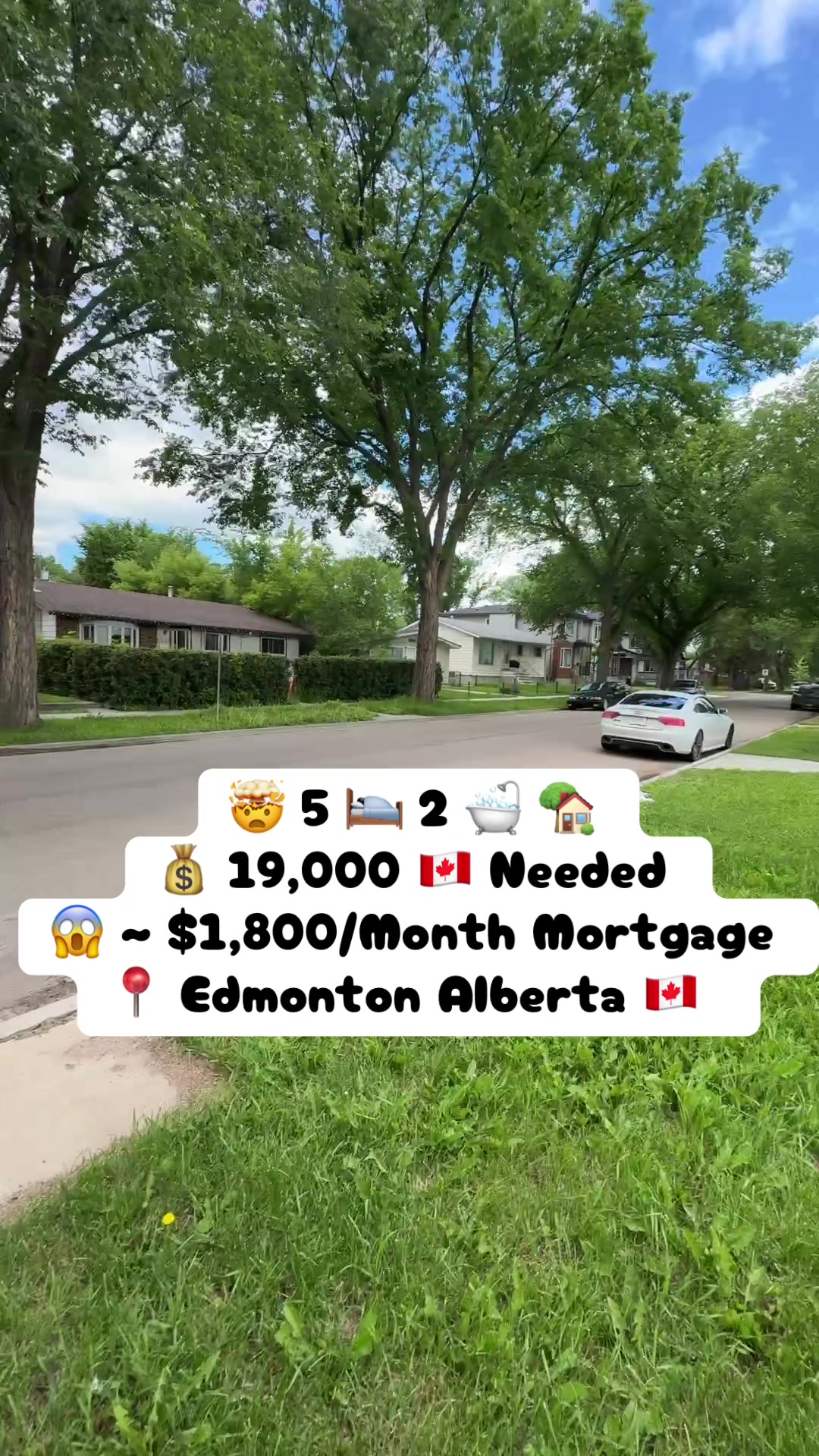 @Marshal Muhammad |YEG REALTOR®