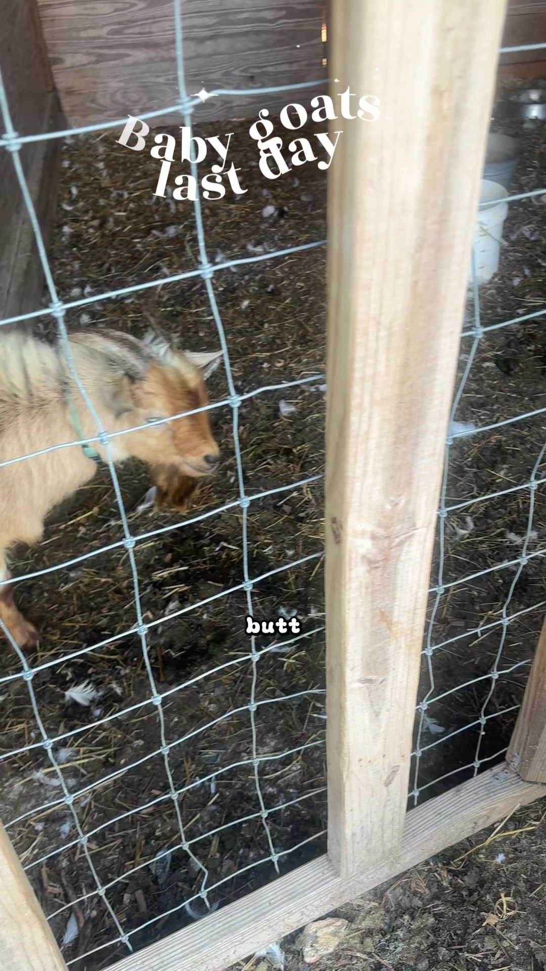 @Mindy | Pretend Farmer