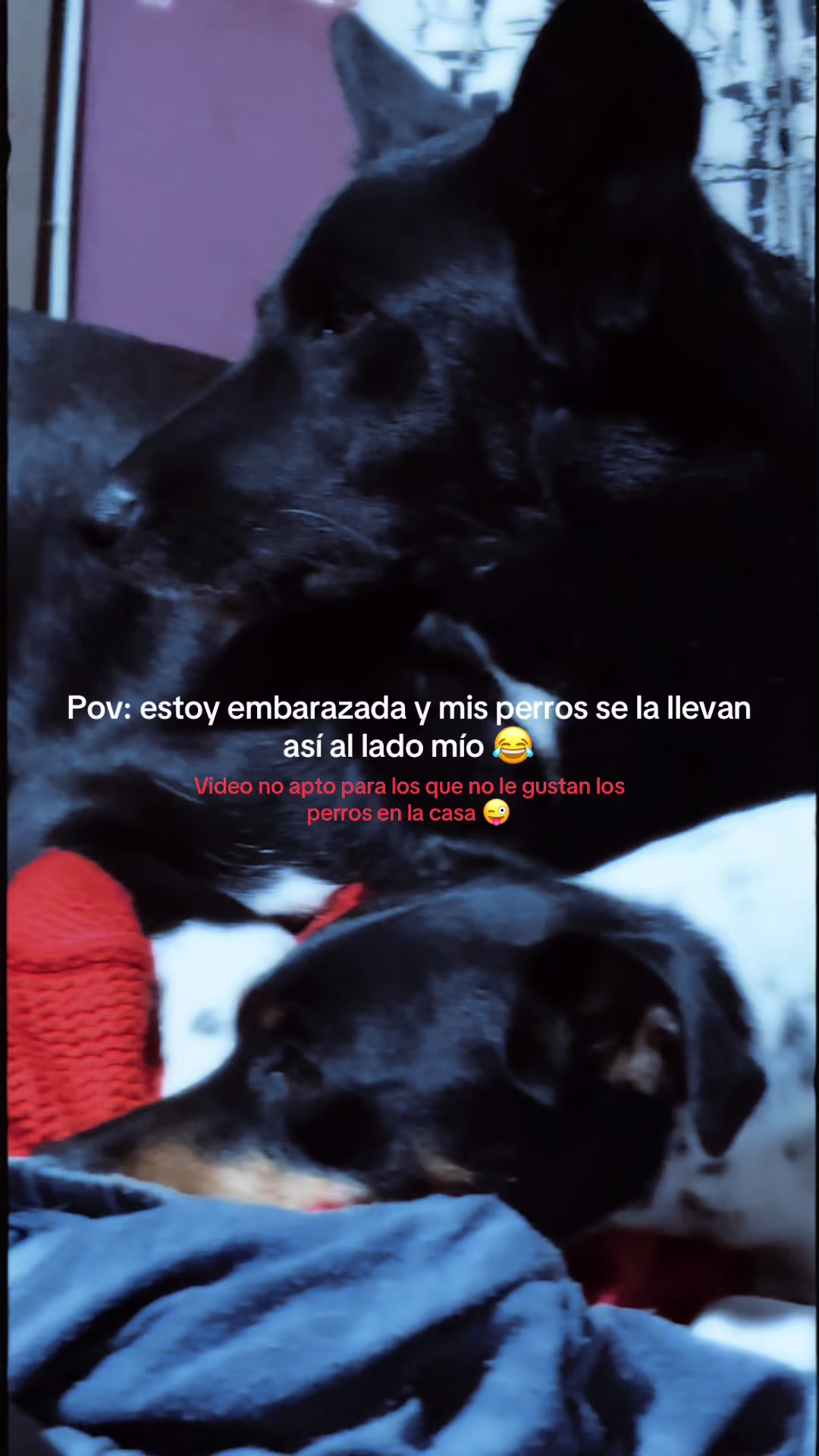 @C4mypink