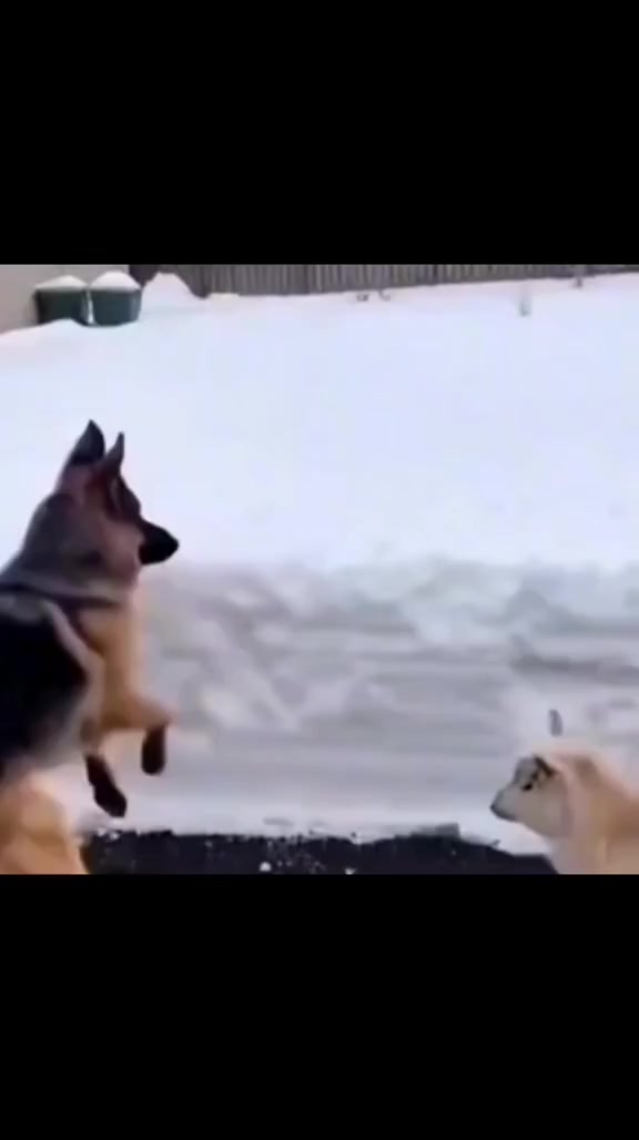 @ухожу нахуй