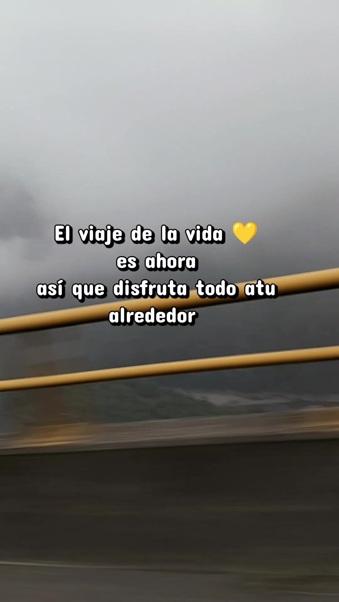 @Araceli Salinas