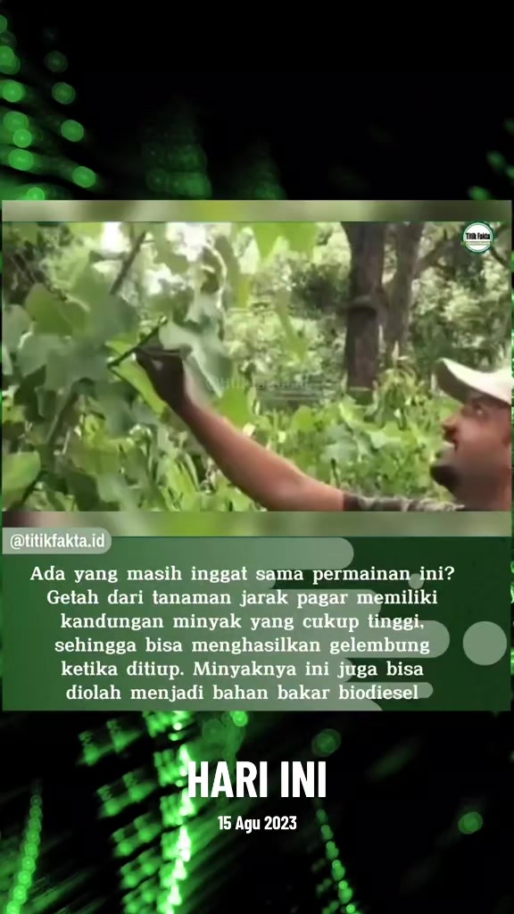 @Titik Facts