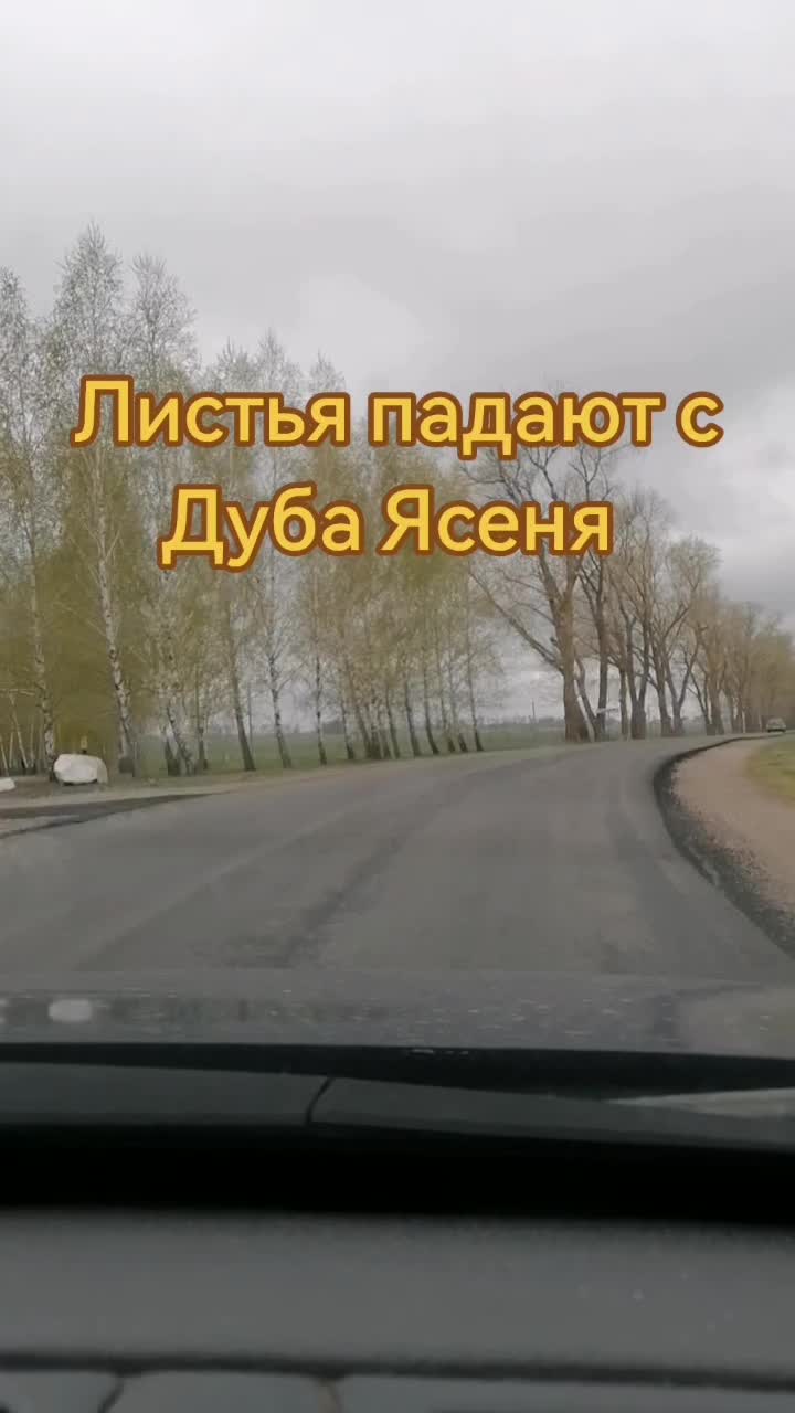 @seregabos