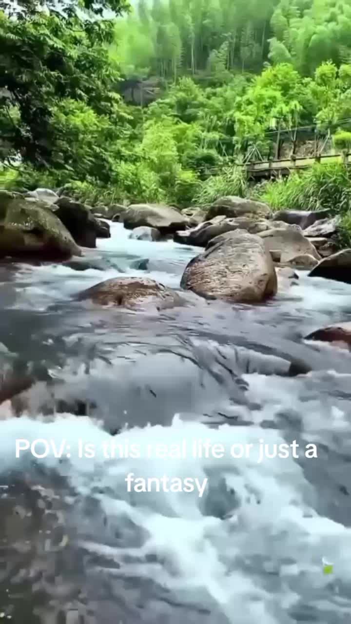 @merlejones