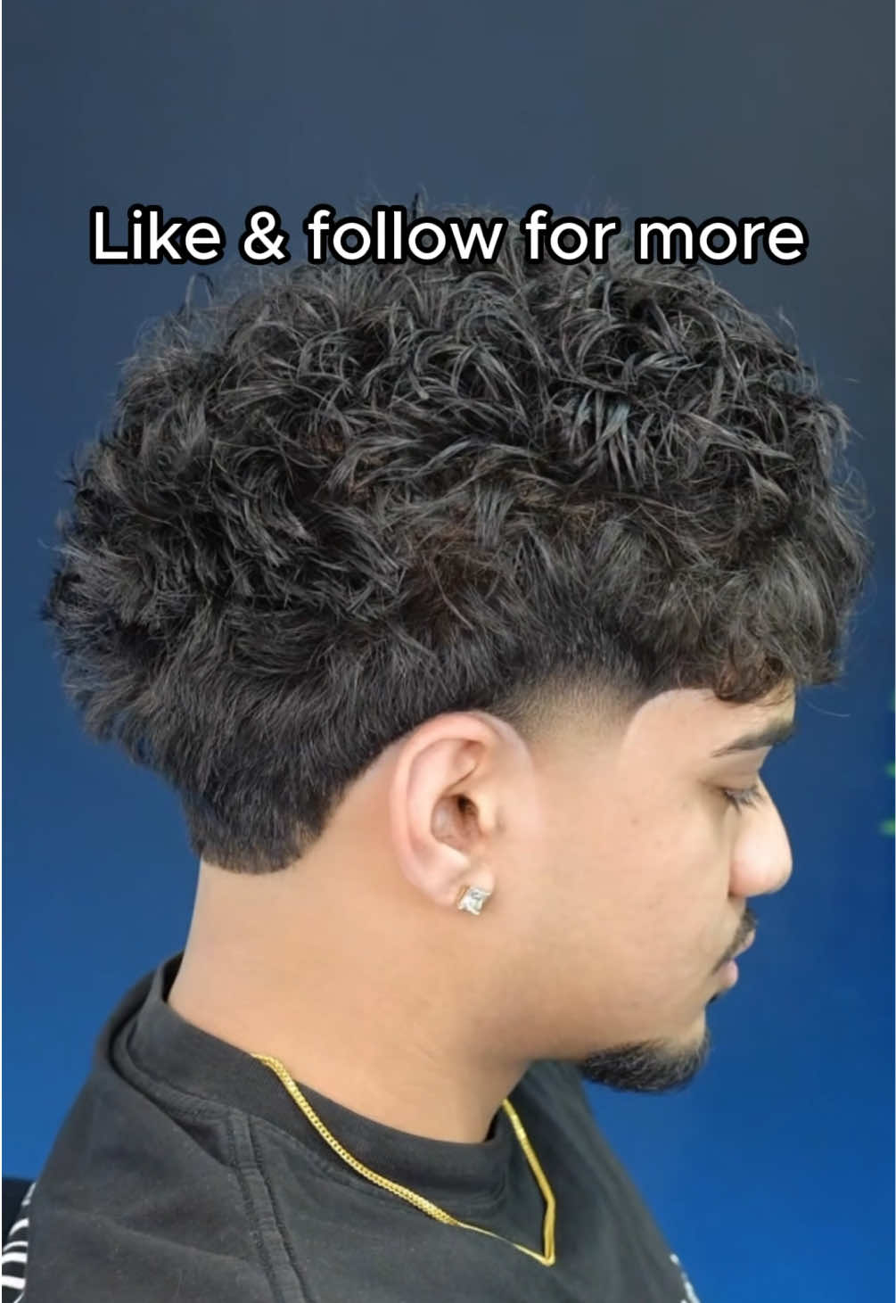 @shawn.kuts