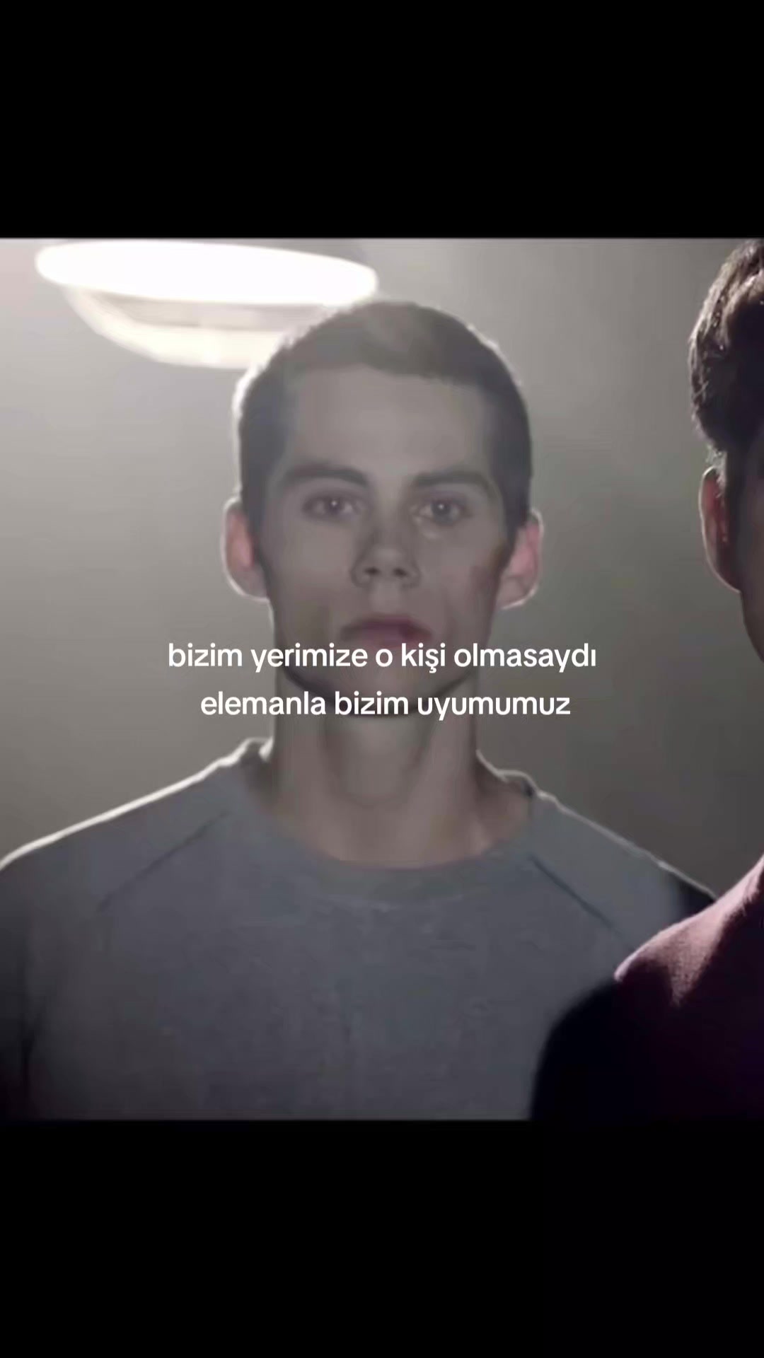 @stydiadırbabba