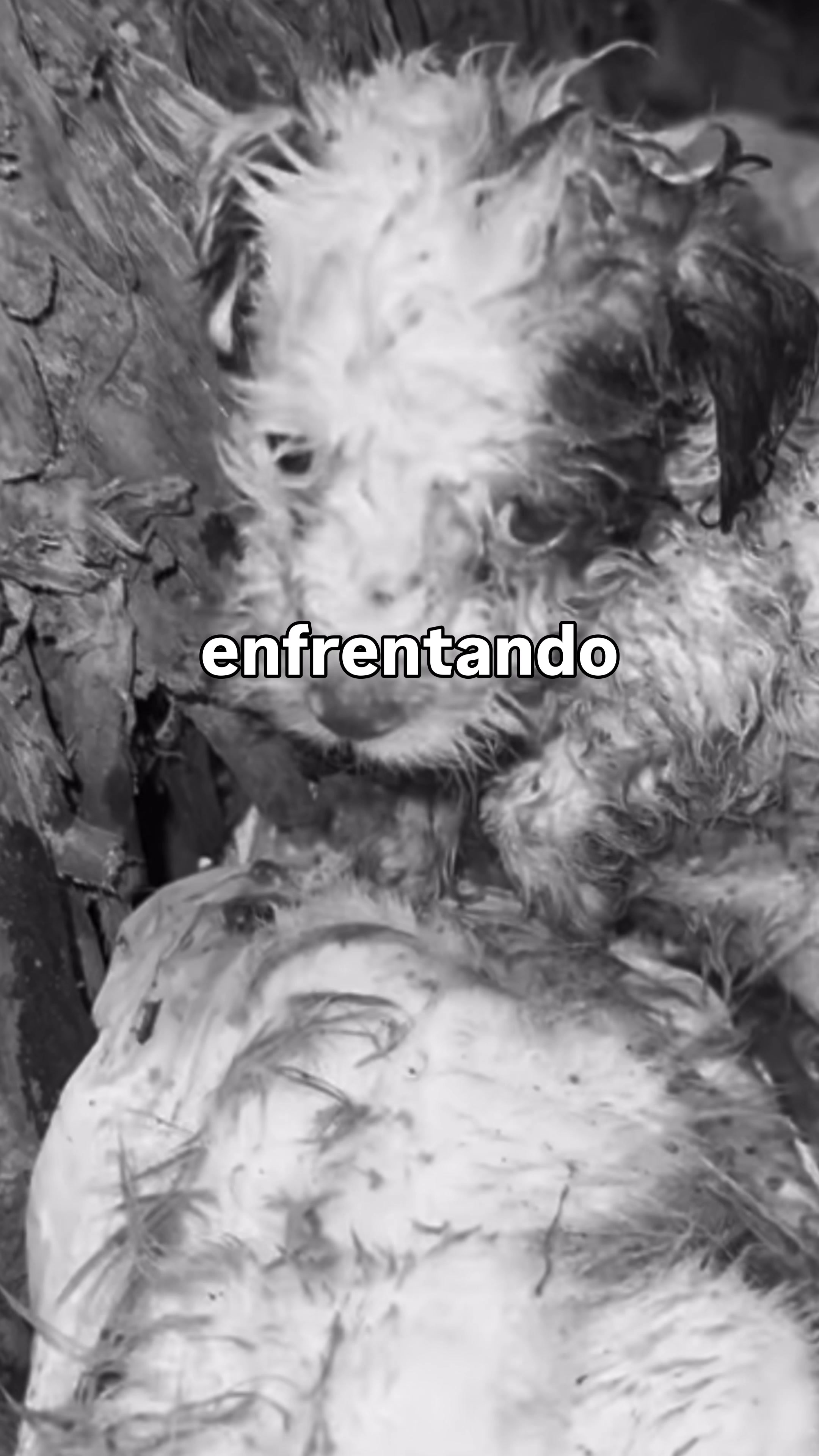 @Soy Thalas