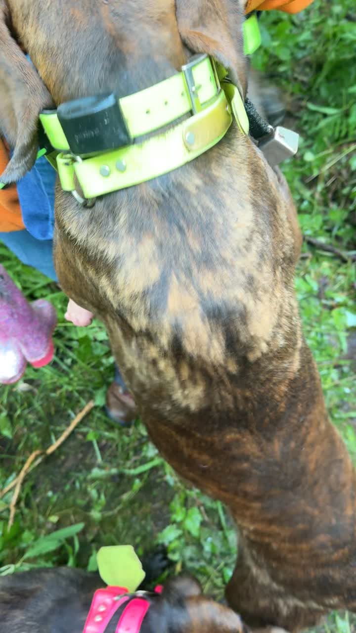@Tri-County Outdoors
