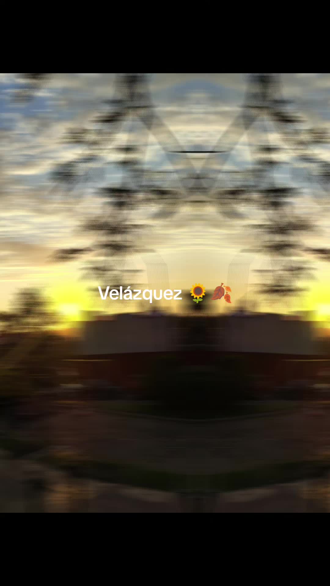 @💫💫🌻flaquita vt💫💫🍂🍂