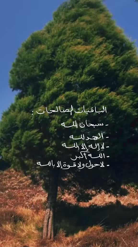 @badara_14