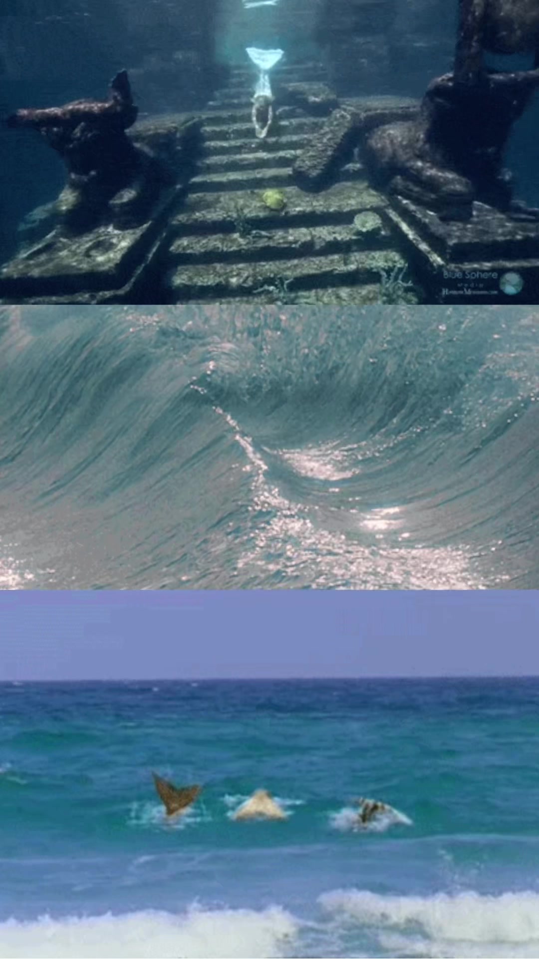 @Sh|شَ 🌊🪷࿐ ౨ৎ ⋆ 。˚