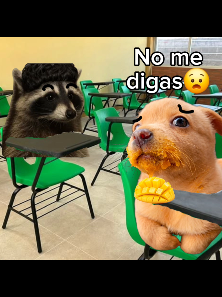 @El Perrix