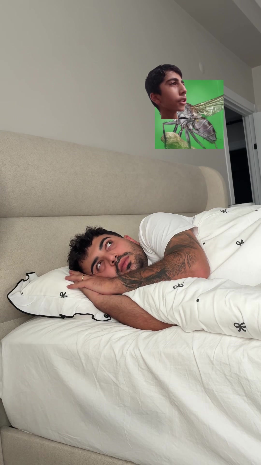 @Berkejuan🦁
