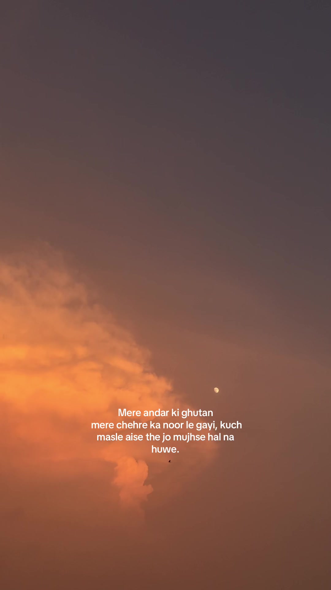 @𝘔𝘰𝘪𝘻.