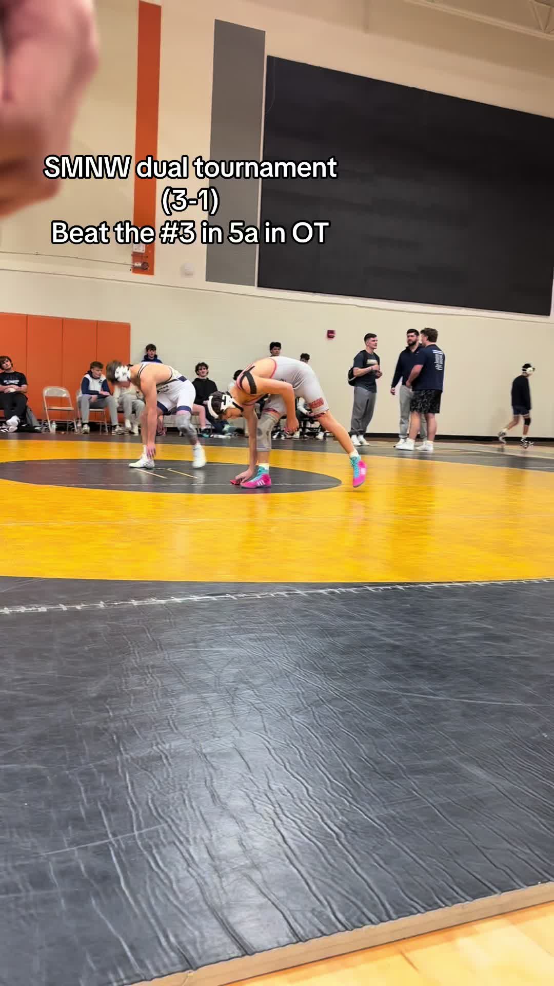 @devastating.wrestles
