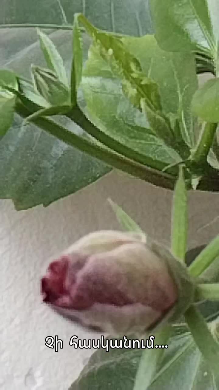 @Артур