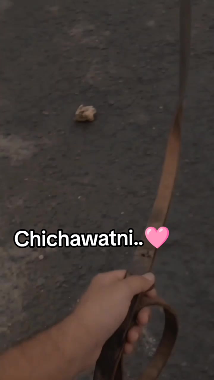 @𝐂hichawatni-Edits🙃