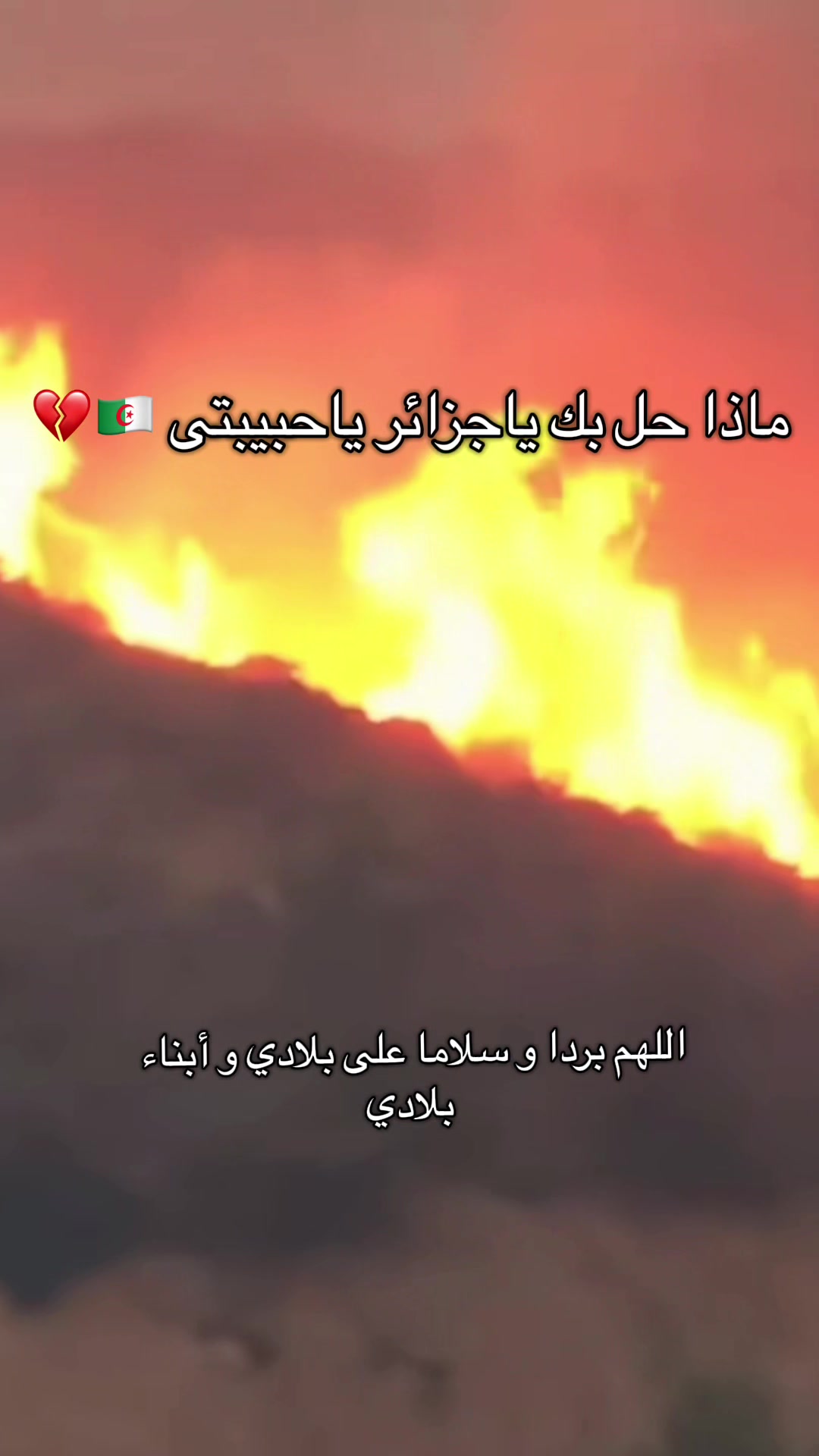 @⚡️ ڪــاتـيـا|𝑲𝒂𝒕𝒊𝒂🇩🇿🦋