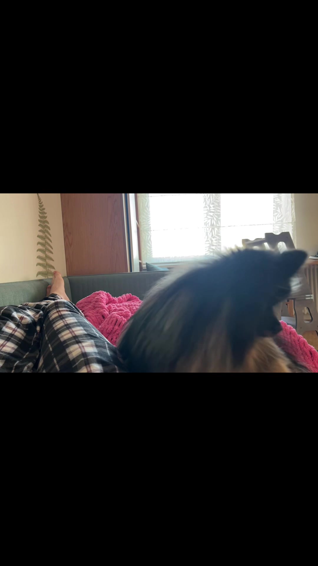 @jaillock2