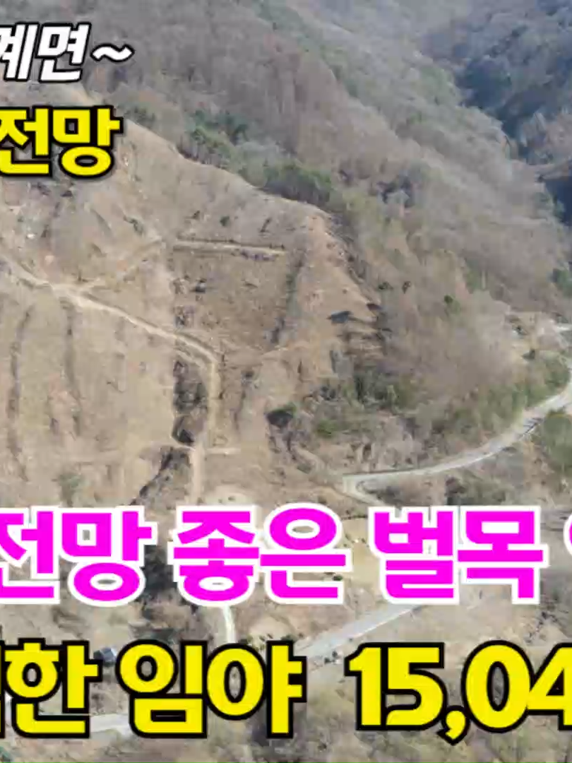 @민랜드부동산