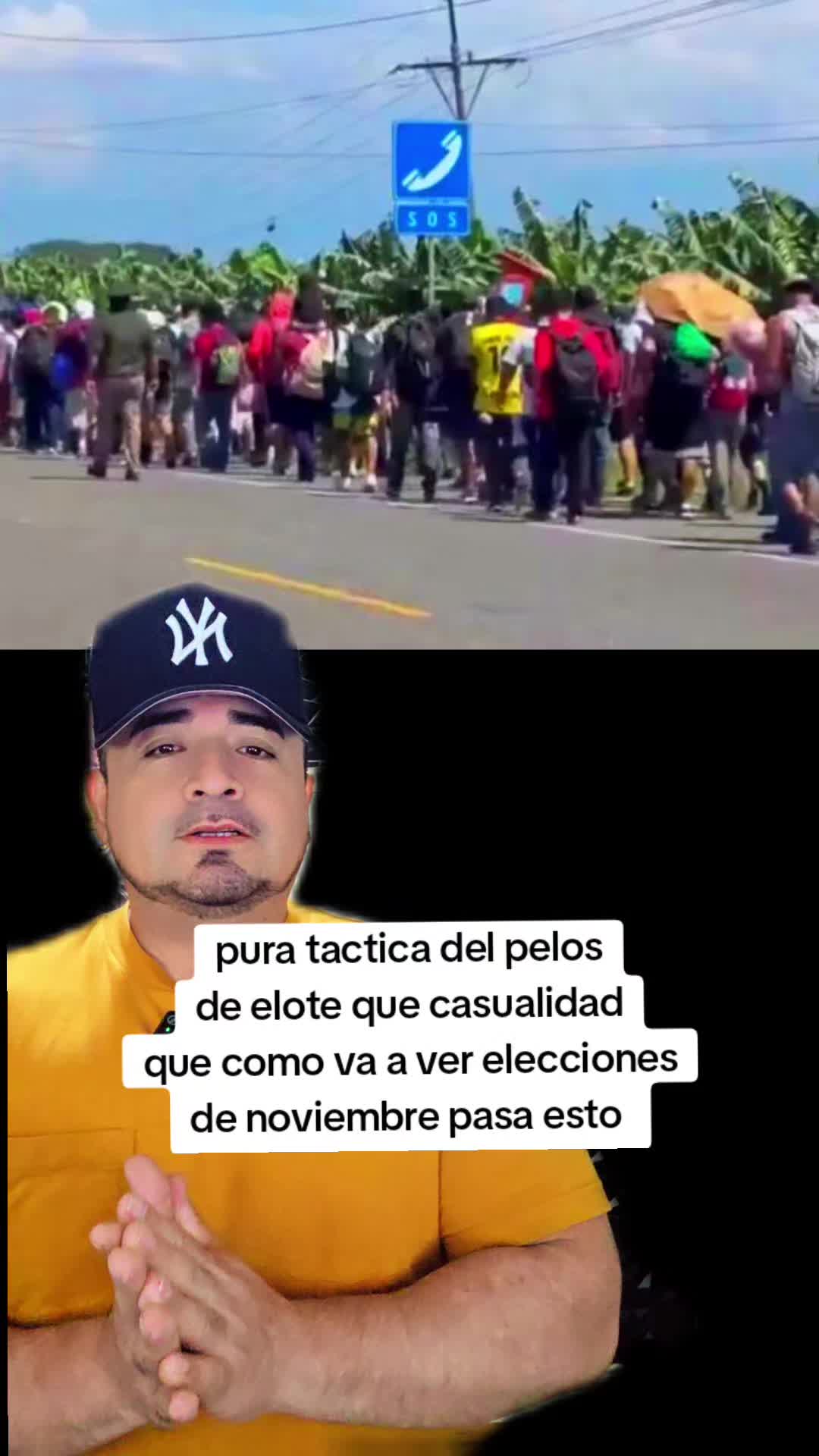 @carlos quintero