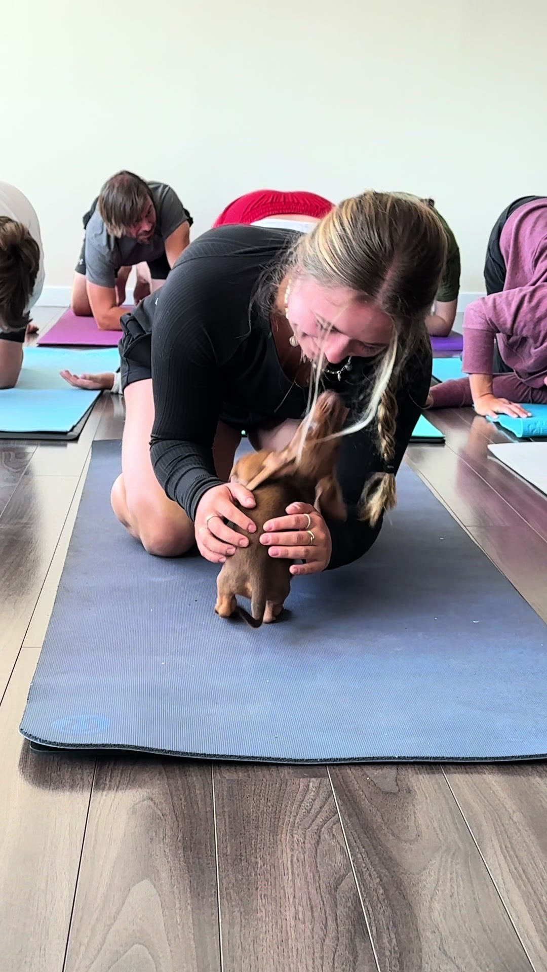 @Muskoka Puppy Yoga